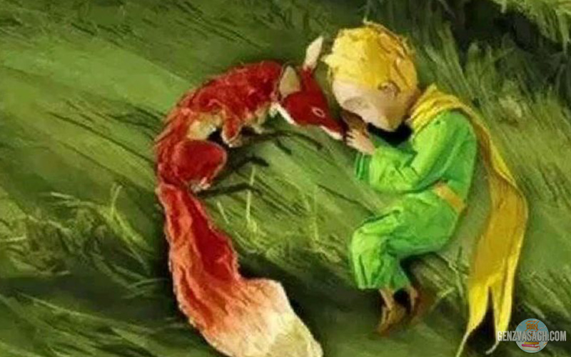 Tình bạn & thuần hóa Tình bạn & thuần hóa